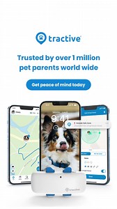 The best GPS Pet Tracker for pet lovers!   Live Tracking: Know where your pet is in real-time  Get alerted when your pet leaves the designated area  Track your pet's health and fitness levels  View all the places your pet has explored  100% Waterproof Join the thousands of pet lovers who trust Tractive to keep their pets safe. Order now and track your pet's adventures! | Tractive | Facebook