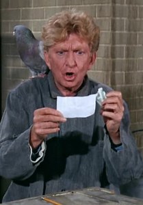 Gilligan's Island S03:E28 - The Pigeon
