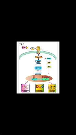 Maximize Your Look: Height and Aesthetic Enhancements