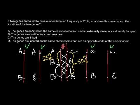 Chromosomal Crossover