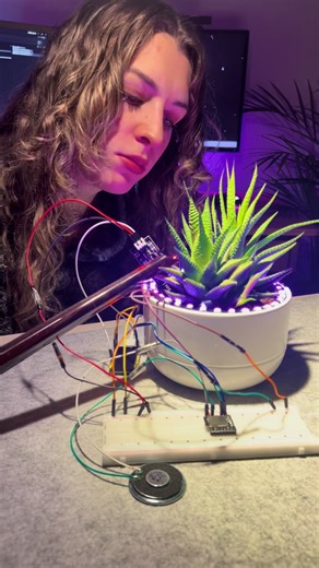 DIY talking plant using an Esp32 🌱🔊. He desperately needs a face and I don’t have any ideas, please help🥹 Drop your display ideas! #engineering #diyelectronics #womeninstem #arduino #techprojects