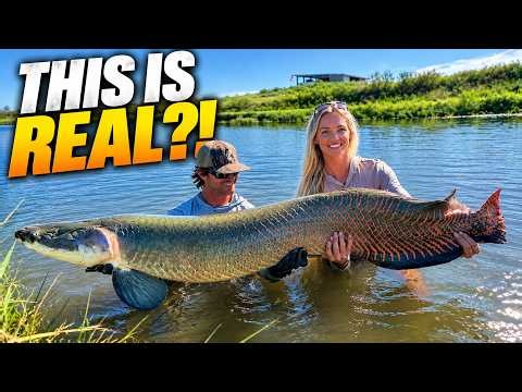 I Caught One of the Largest Freshwater Fish In the World