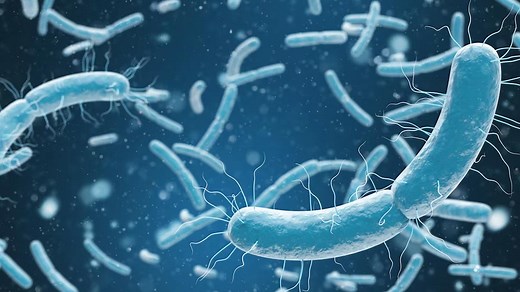 In A Call To Action Against Drug-Resistant Infections, WHO Updates Its Bacterial Priority Pathogens List
