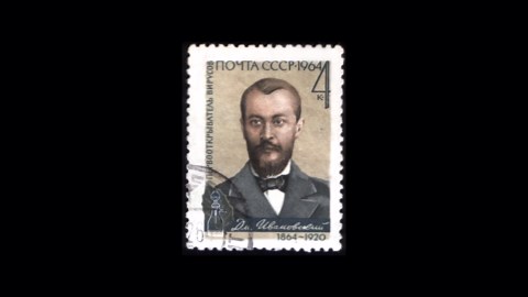 The Mysterious Origins of Viruses: Tracing Their Ancient Impact on Humanity