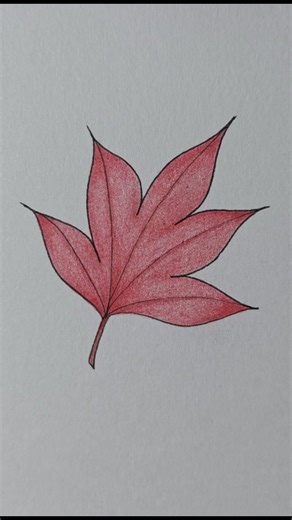 mini drawing on Instagram: "Maple leaf drawing #minidrawing #maple #howtodraw #easysketch #illustration"