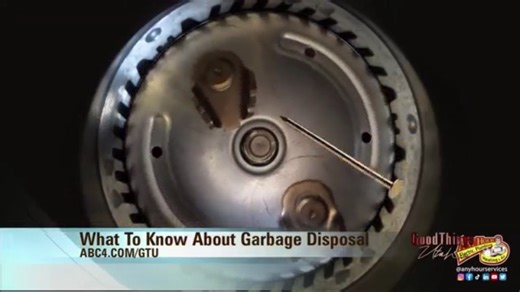 Tips to troubleshoot issues with your garbage disposal
