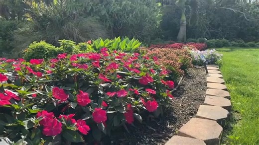 Flowers burst with colors at Peace River Gardens