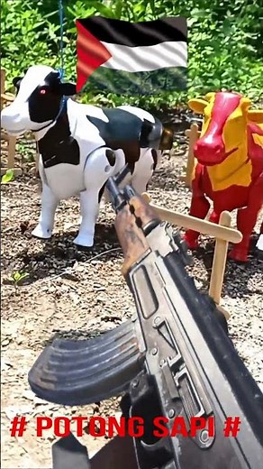 PROSES POTONG SAPI KURBAN