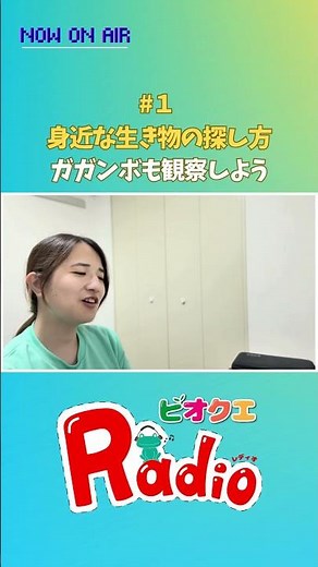 ガガンボっていう昆虫を知っていますか？ #生物 #昆虫 #生き物 #ガガンボ #生き物観察 #教育 #ラジオ