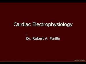 Cardiac Electrophysiology