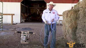 3.5K views · 95 reactions | 퐌퐢퐬퐬퐢퐧퐠 퐬퐥퐨퐰퐞퐫 퐜퐚퐭퐭퐥퐞? 홏홝홚홧홚 홖홧홚 황홬홤...