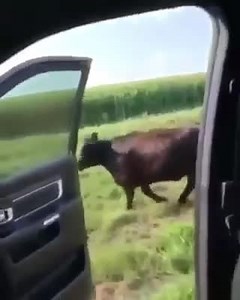 Quand t'as trop de flow ! :p | Exotic Universe