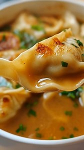 214K views · 1.7K reactions | Ultimate Potsticker Soup 寧 Juicy...