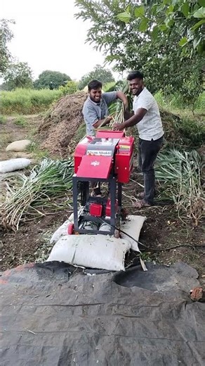chaff cutting machine | chara kutti machine