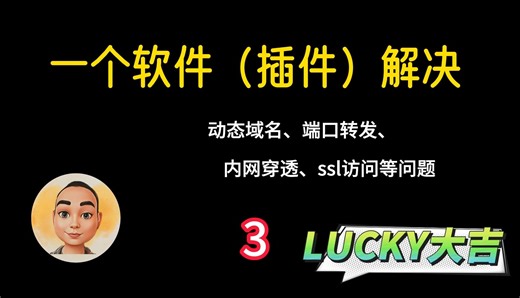 一个软件(插件)解决动态域名、端口转发、内网穿透、ssl等问题3
