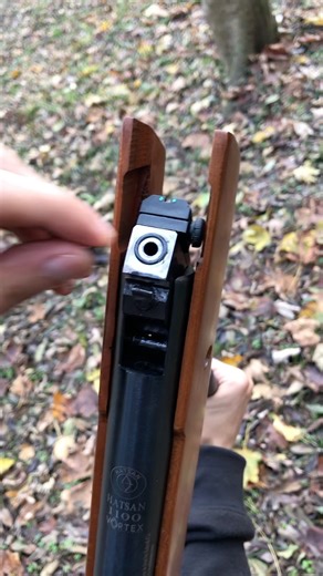 Shooting at close range with a spring gun🪵🌲