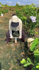 Amazing helpful farming tool for rural farmers | Modern farming tools #farming #Amazing #reels #reelsviralシ #tools | Satyam creater