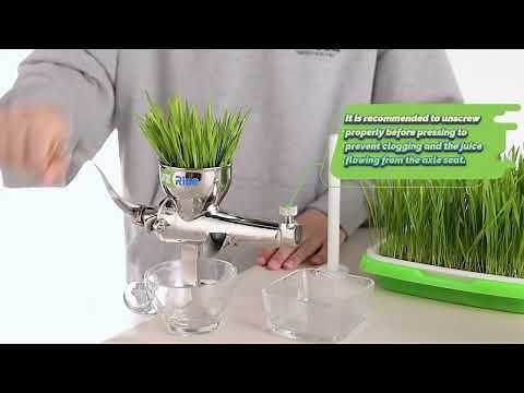 How to use Luzrise manual wheatgrass juicer?