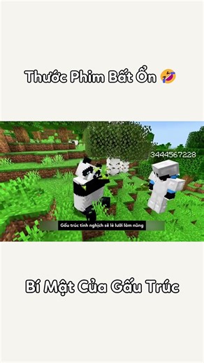 Bí Mật Của Gấu Trúc #shorts #minecraft