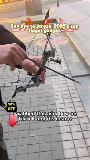 1Forget the shooting range — this little bow is way more addictive! 💥 #MiniBow #BowChallenge