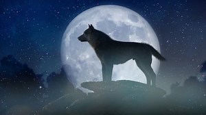 clip-1099684699-silhouette-wolf-howling-full-moon-3d-render