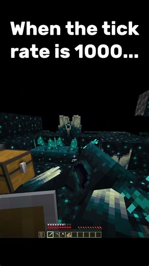 When the tick rate is too much #minecraft #meme