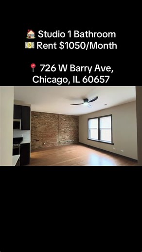 Updated Studio Apartment for Rent in South Lakeview, Chicago