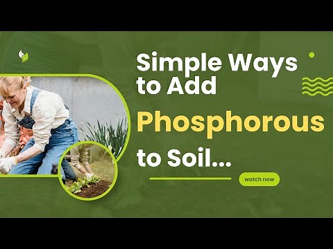 Simple ways to Add Phosphorus to Soil. #gardeningtips #homemadefertilizer