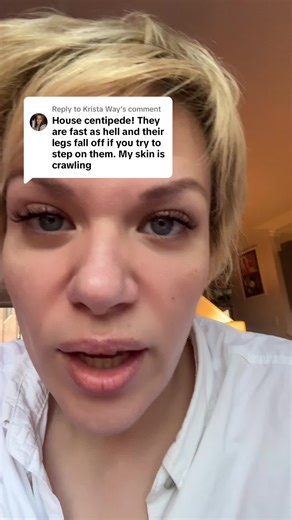 House Centipede Encounter and Its Aftermath