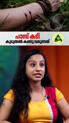 പാമ്പ് കടി കൂടുതൽ കണ്ടു വരുന്നത് #SnakeBite