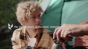 Davidson's Organics, Lemon Mango, 100-count Unwrapped Tea Bags