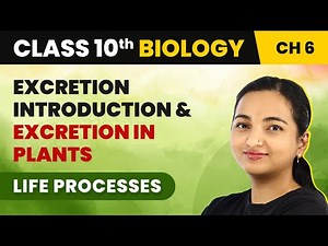 Class 10 Biology Ch 6 | Introduction to Excretion and Excretion in Plants - Life Processes