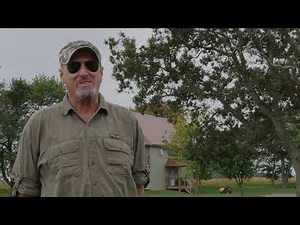 Living History - The Heritage Trees of Chatham-Kent