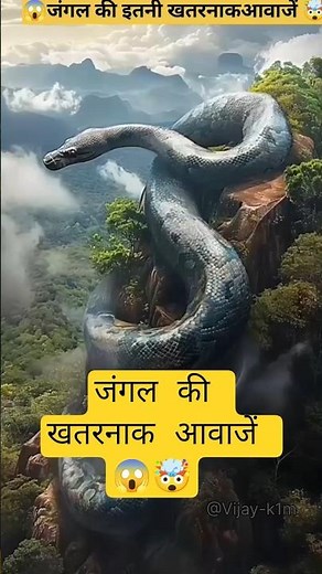 Mysterious Voice Of Amazon Rainforest ☠️🥴 | #shorts #mystery #facts