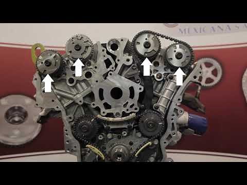 Cloyes: Automotive Timing Drive Systems