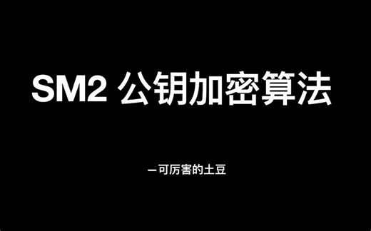【SM2公钥加密算法】| SM2加密过程详解 | 椭圆曲线加密| 公钥加密| 密码学| 信息安全