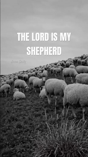 The Lord is my Shepherd ❤️