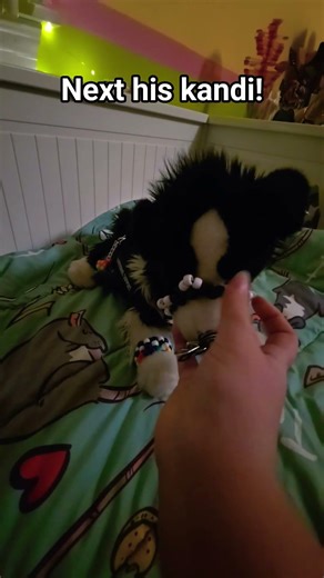 Get Arrow ready for school. #essa #essacommunity #emotionalsupportstuffedanimal