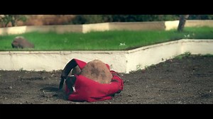 1.2M views · 383 shares | Show your rocking attitude with mentos ultra - cool baggitude stickers. | Mentos | Facebook