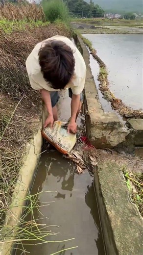 水路漁法：即席フィルターによる効率的な捕獲 | 수로 어업: 즉석 필터를 이용한 효율적인 포획