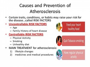 Атеросклероз: профилактика через века - Здоровье Сердца 2026