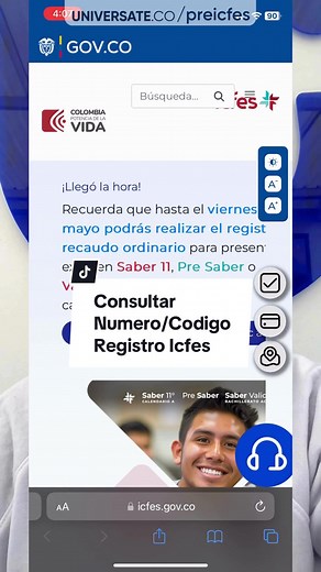 Consultar Numero/Codigo Registro Icfes
