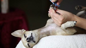 17K views · 573 reactions | Mondays don't have to be bad. Treat...