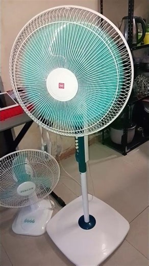 SF40Y SPEED 3 WITH OSCILLATION 2