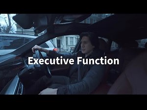 Executive Function: Supervisory Attentional System and Goal Directed Behaviours