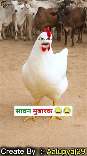 सावन मुबारक 🐔😂🤣 #funny #thetharpuns #aalupyajjoke #comedy