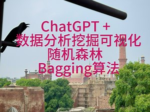 [ChatGPT帮助数据分析挖掘可视化] 15 随机森林 与 Bagging算法