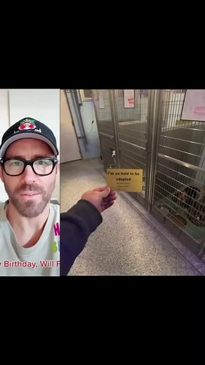 Love You.No1 on TikTok