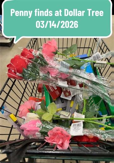 Descubrimientos de Penny en Dollar Tree