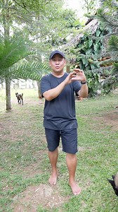 195K views · 4.1K reactions | Alpha Dog Explained base sa punto de vista ng Supero #alphadog #kingcharles | Supero Dog Farm | Facebook